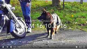 not-oktober-2016-video
