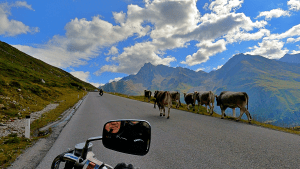 NRW on Tour - der Film zur AST Austria Swiss Tour 2025